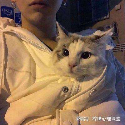 仙魔圣域百度手游下载